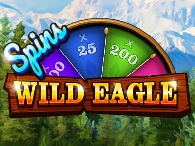Wild Eagle game screenshot